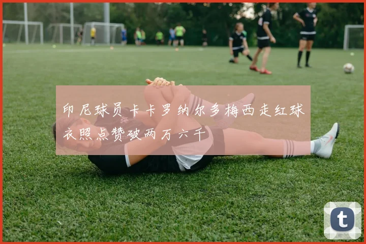 印尼球员卡卡罗纳尔多梅西走红球衣照点赞破两万六千