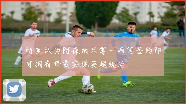 特里认为阿森纳只需一两笔签约即可拥有锋霸实现英超统治