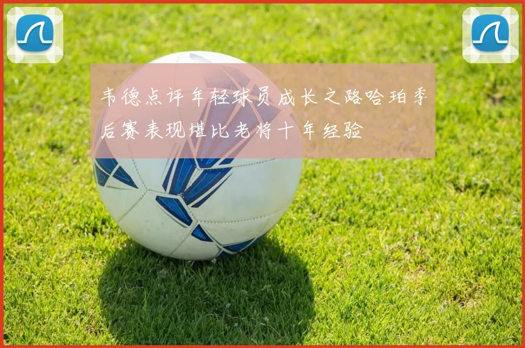 韦德点评年轻球员成长之路哈珀季后赛表现堪比老将十年经验