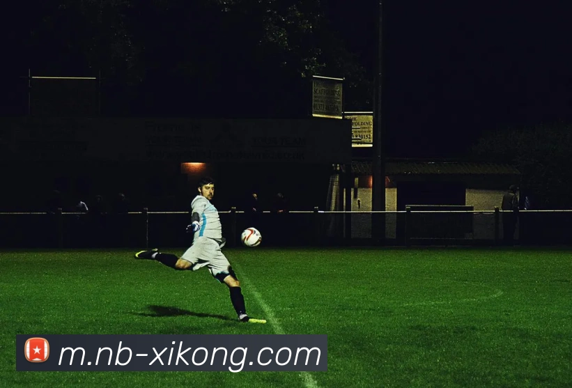 平台展示图